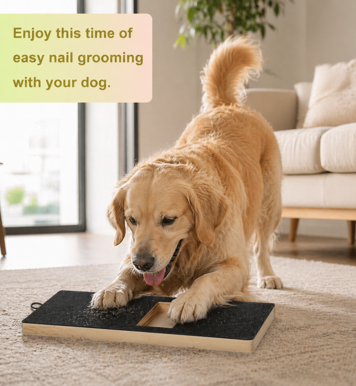 Nail Scratching Board