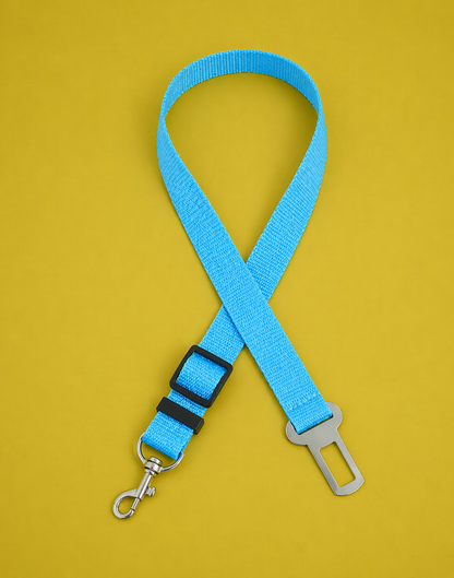 Safety Car Leash