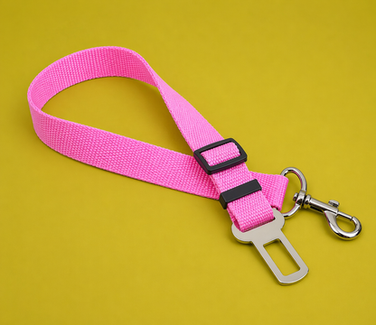 Safety Car Leash