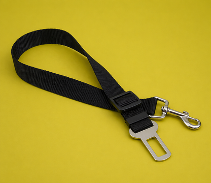 Safety Car Leash