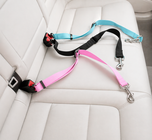Safety Car Leash