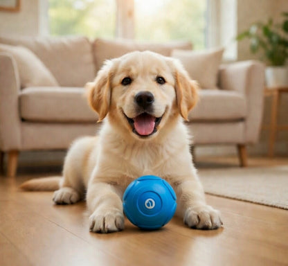 Automatic Ball toy