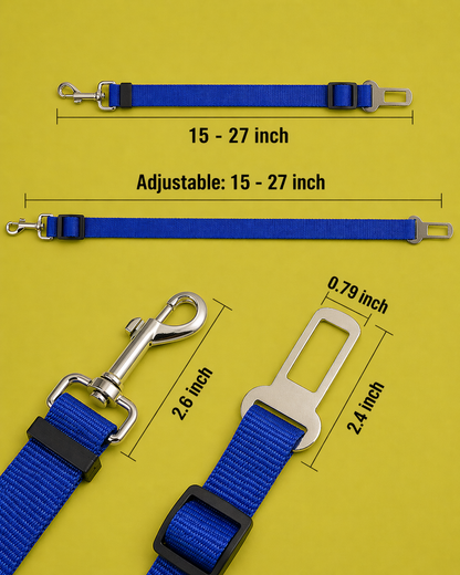Safety Car Leash